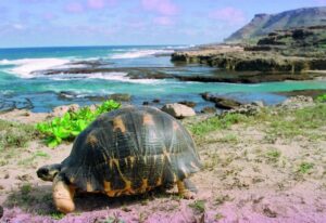 Plus belles plages de Madagascar : Cap Sainte-Marie