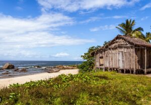 Madagascar : le royaume de la nature sauvage et intacte