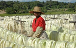 Que peut-on ramener de Madagascar : des produits en sisal
