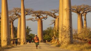 Comment appelle t-on les habitants de Madagascar ?